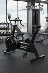 Karnage Torque BikeErg