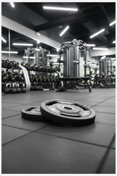 Karnage Urethane Tri-Grip Olympic Plates