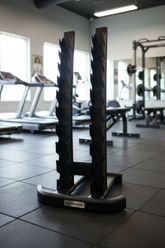 Karnage Vertical Dumbbell Rack - 10 Pairs