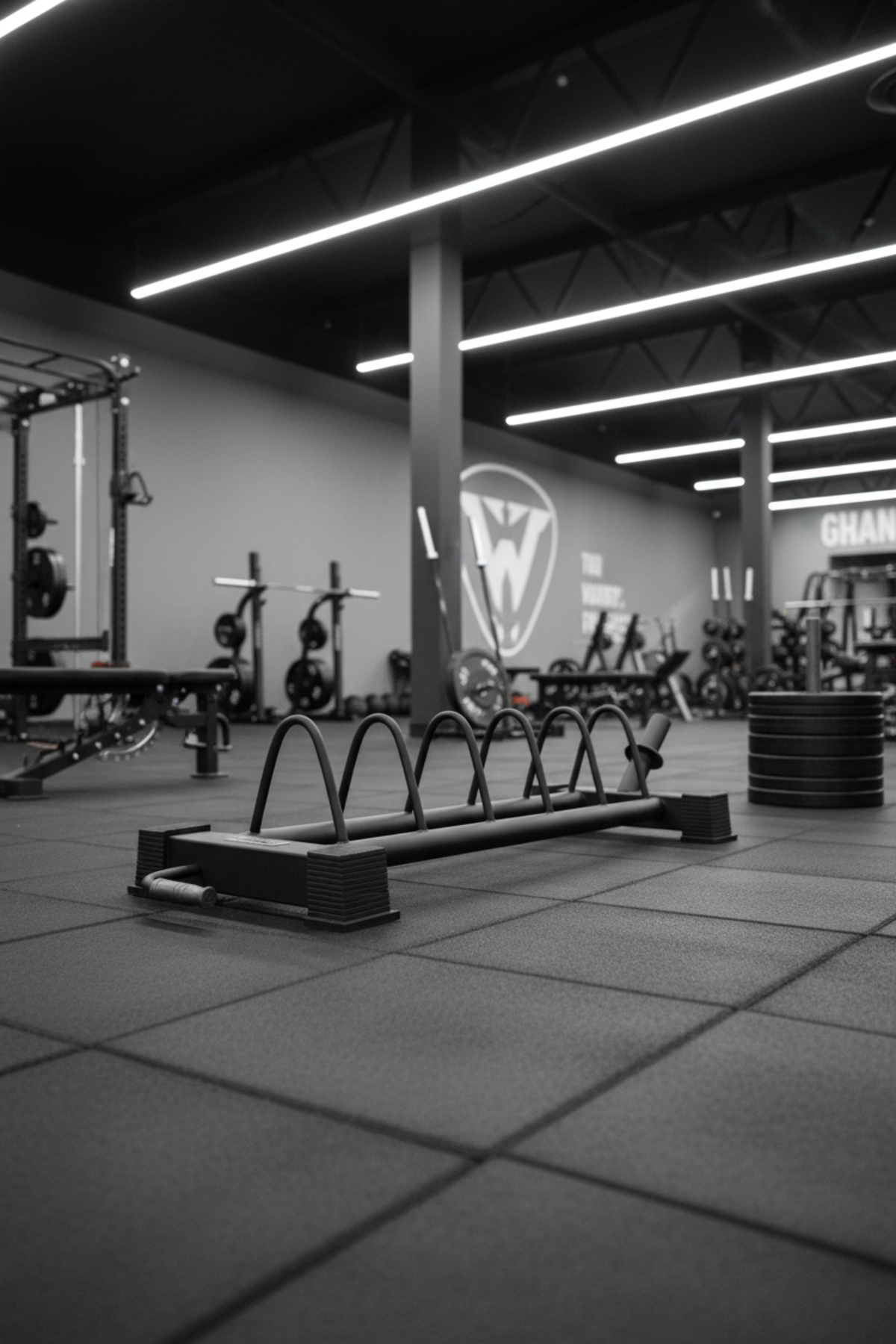 Karnage Weight Plate Toaster Rack